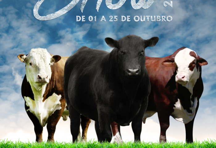 FEIRAS AGRÍCOLAS (1)